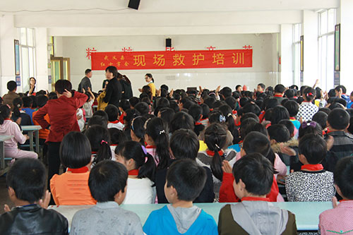 武义县红十字会在新宅小学开展现场救护培训.jpg